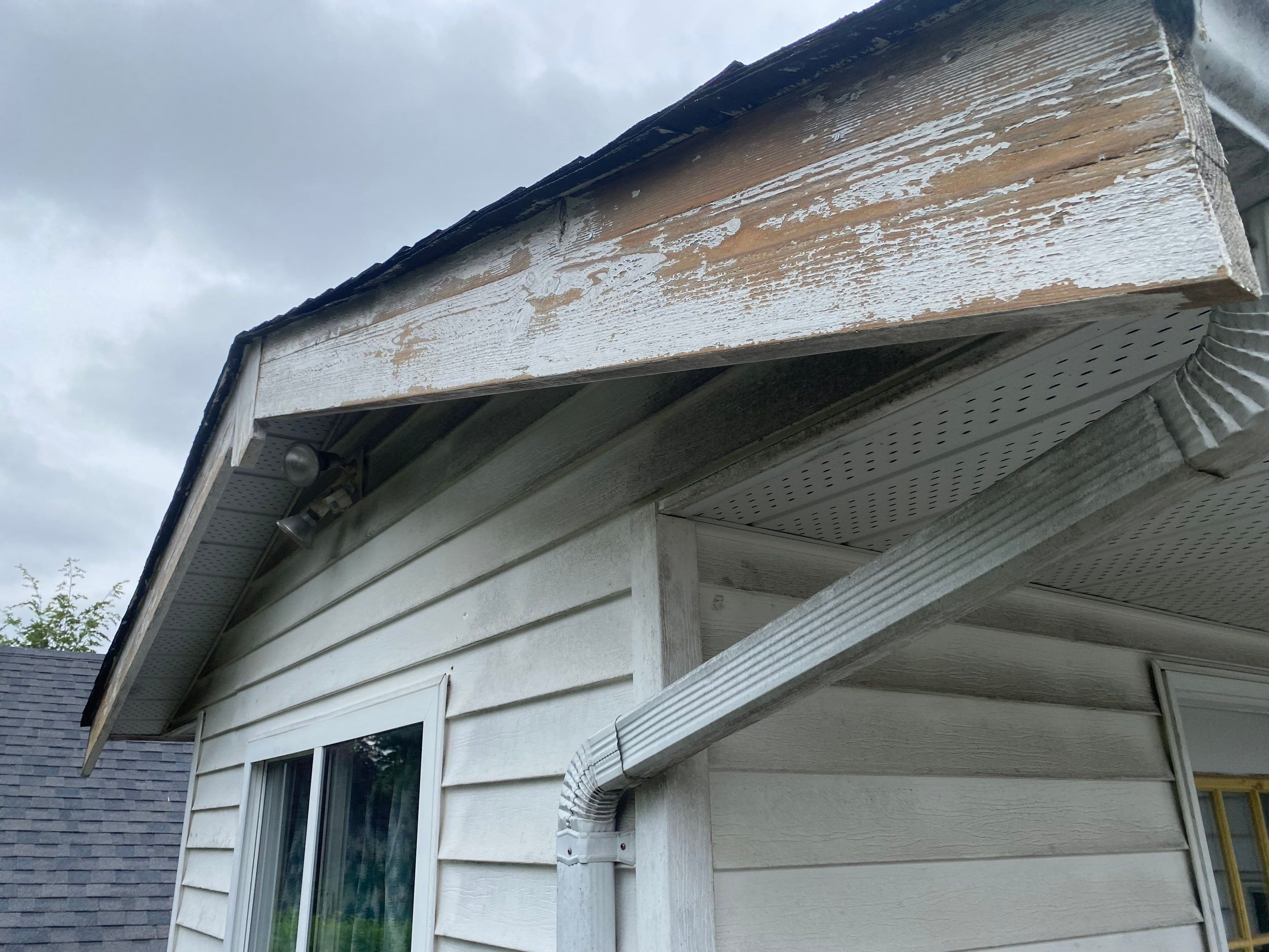Soft Wash Shingles & Siding - Gutter Cleaning - Fascia Painting  by YVR Construction Group