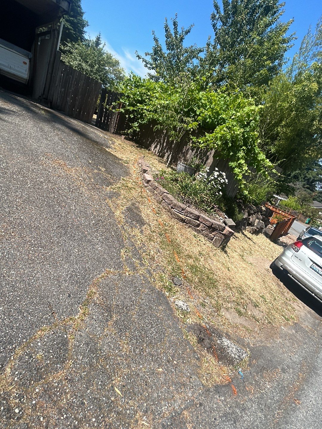 Oscar | Concrete Driveway  by Jireh Asphalt & Concrete Inc 