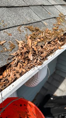 Turtle Shell gutter protection installation in Naperville, IL 60563, photograph 15