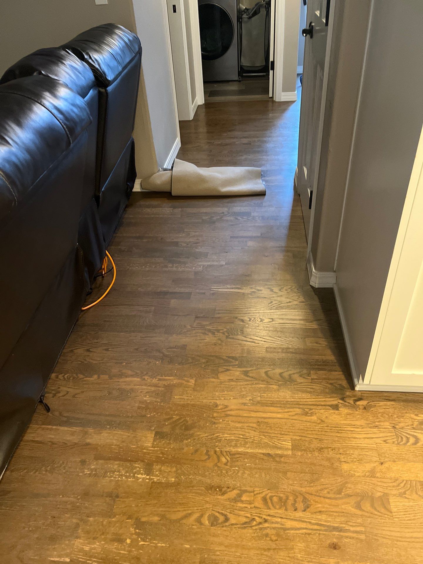 House cleaner Project in Tigard by Cloud 9 Professional Cleaning Services