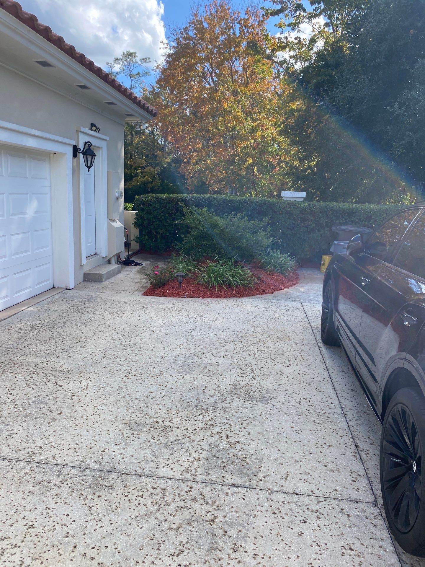 Deerwood Resident | Palm Trimming & Ground Cover by ProGreen Services