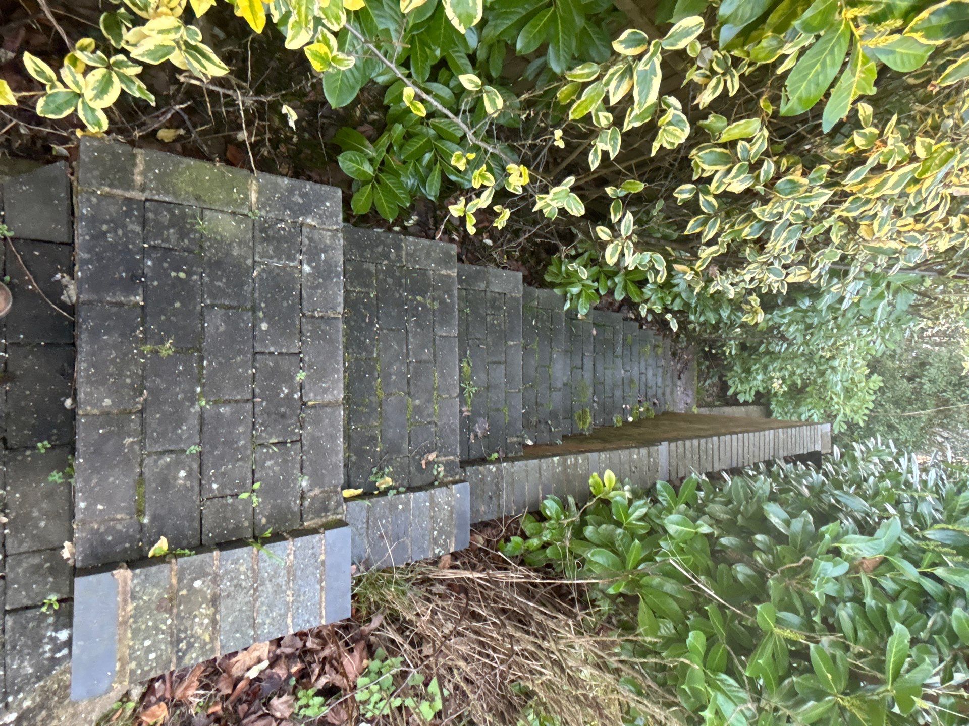 Roof And patio Cleaning Surrey by Ges Exterior Cleaning ltd