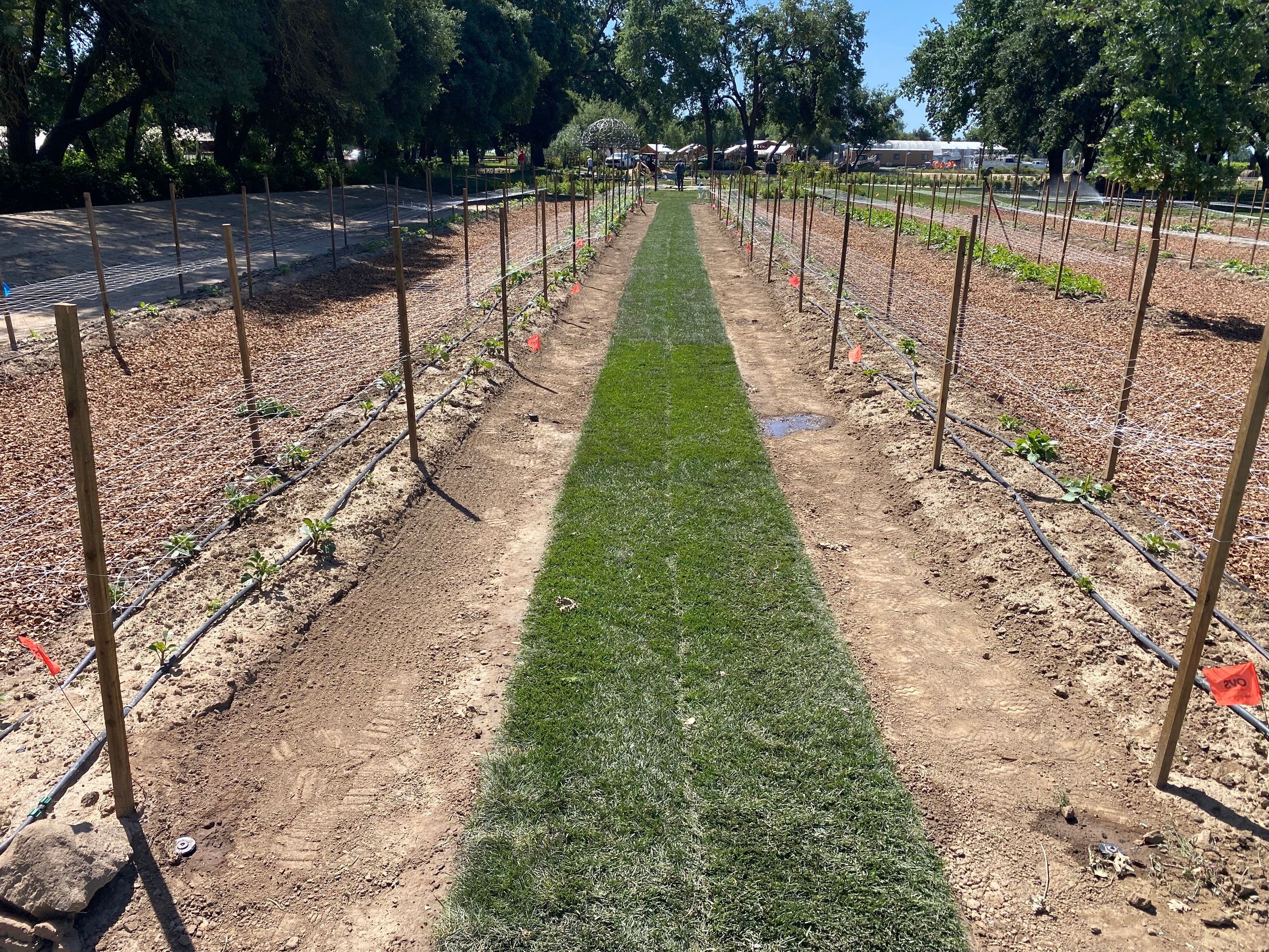 Project in Lodi by A - G Sod Farms