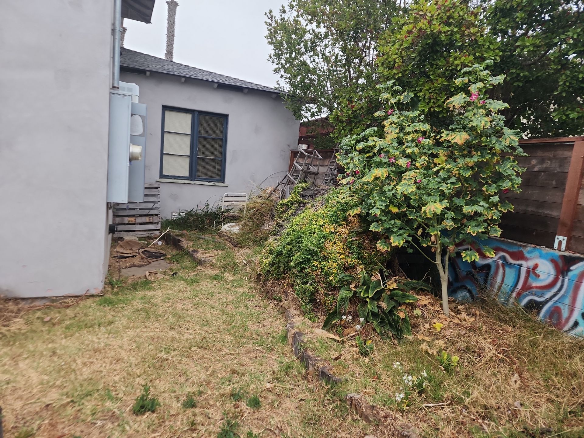 San Diego Landscape Clean Up by Yard Techs