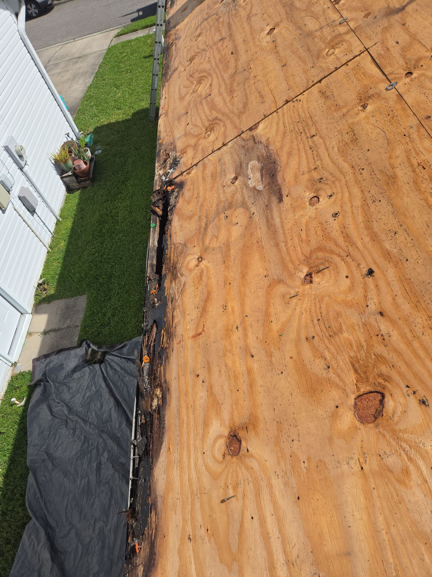 Project in Oldsmar 34677 by Mitchell Roofing Company LLC 