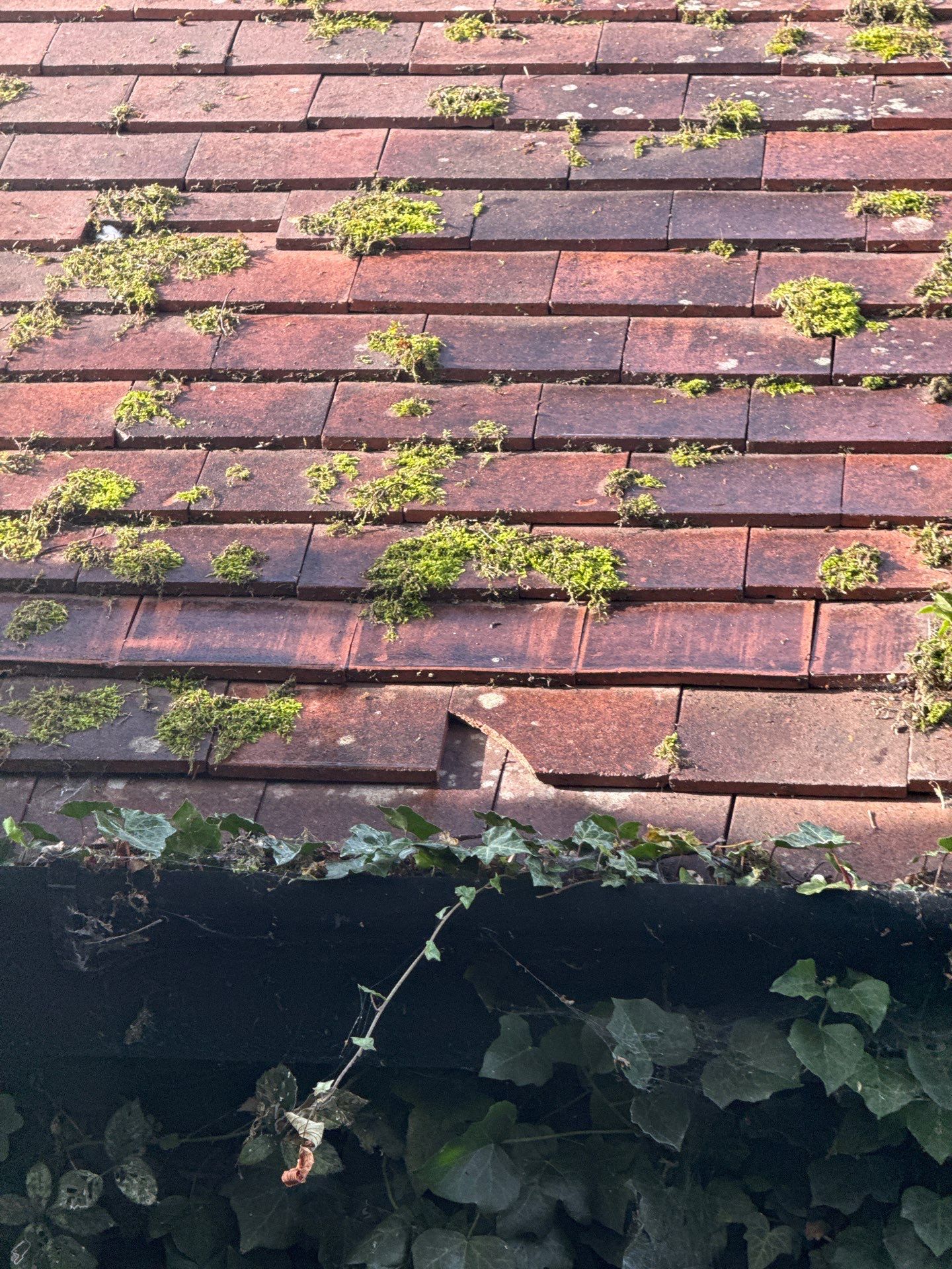Roof - Driveway Clean -Patio Clean by Ges Exterior Cleaning ltd