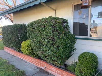 Donna Young’s Home