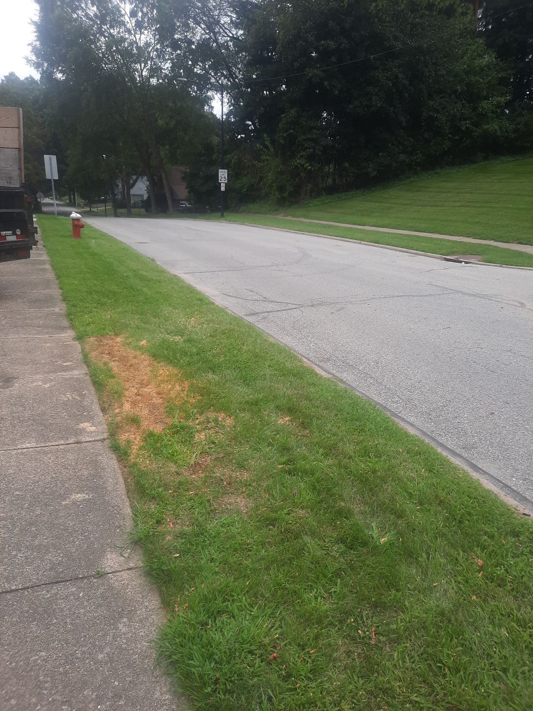 Tree Removal using Tree Removal by Mike Jones & Sons Tree Service LLC 
