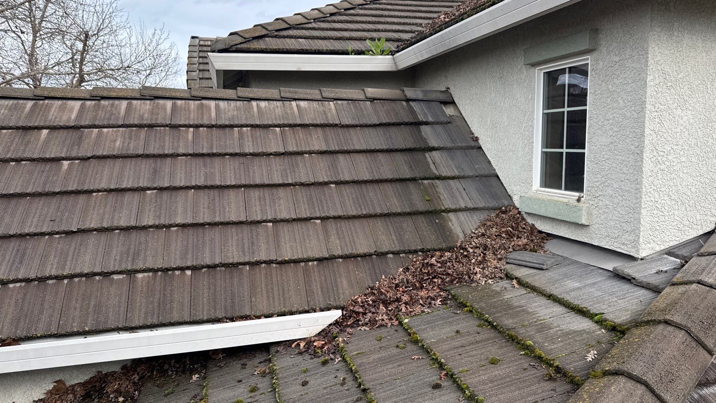 Project by NuLead Construction Inc by NuLead Construction Inc