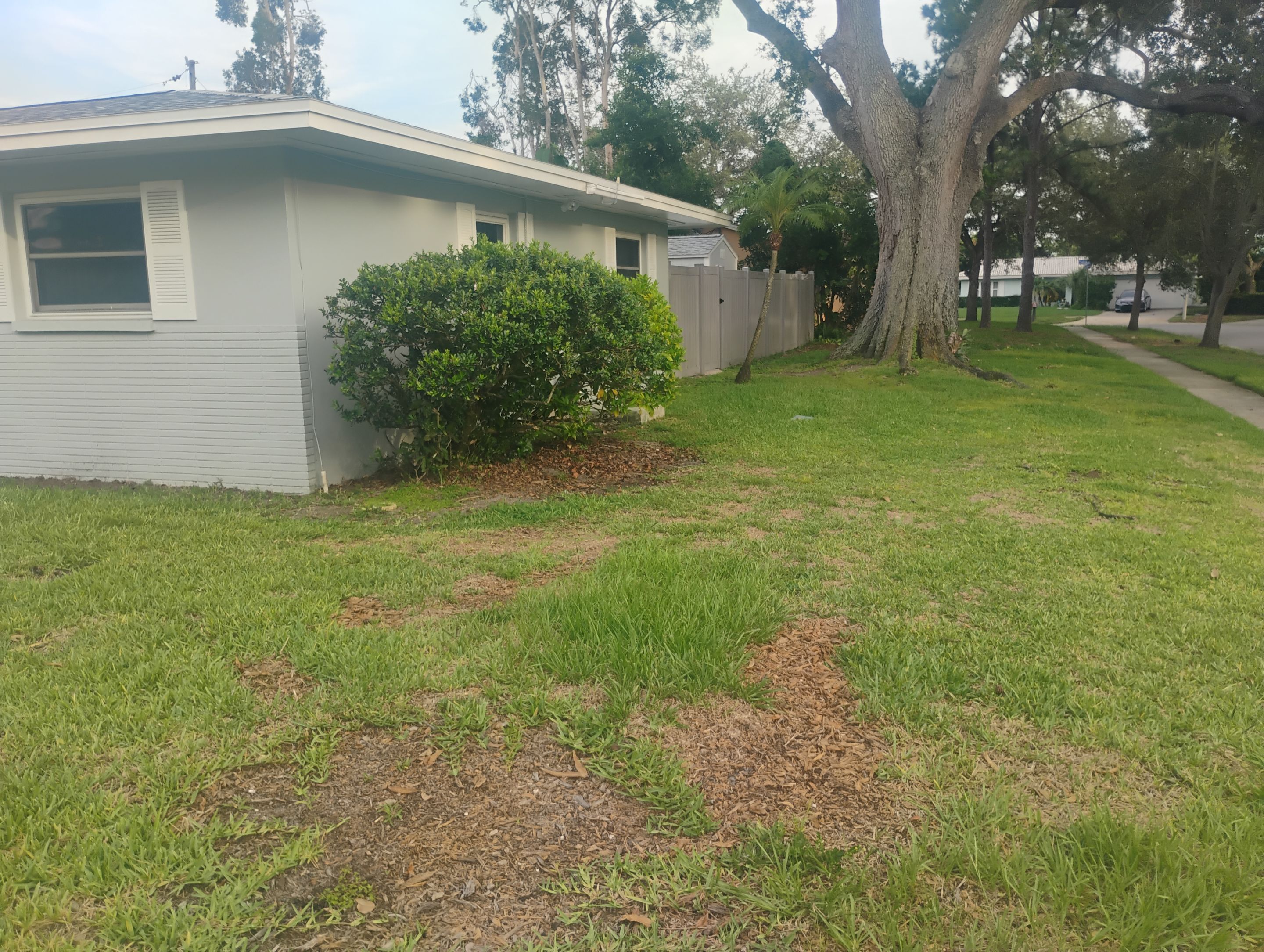 Project in Clearwater 33764 by Mitchell Roofing Company LLC 