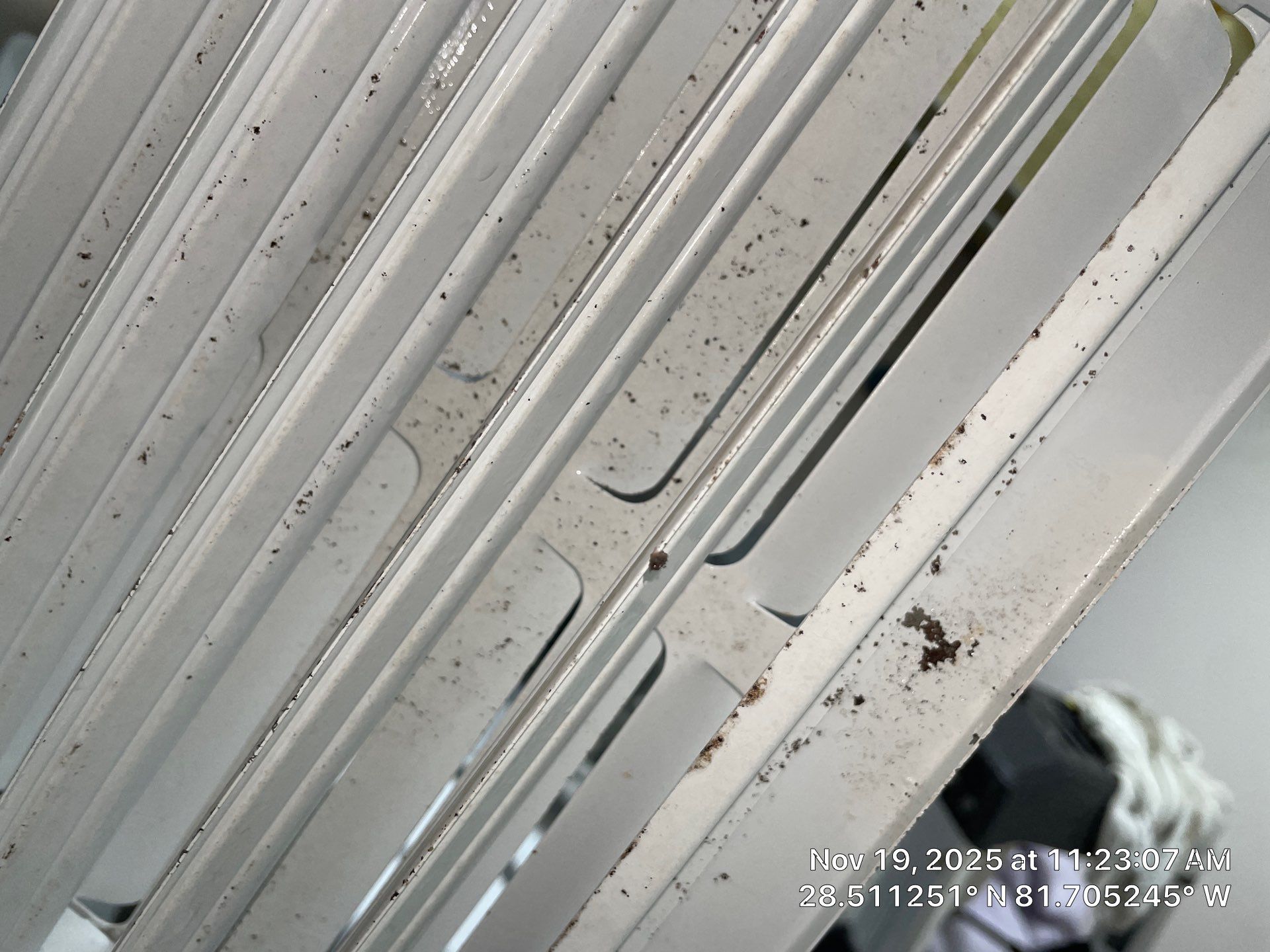 Air Duct Cleaning in Clermont by Hygienic Air, Inc