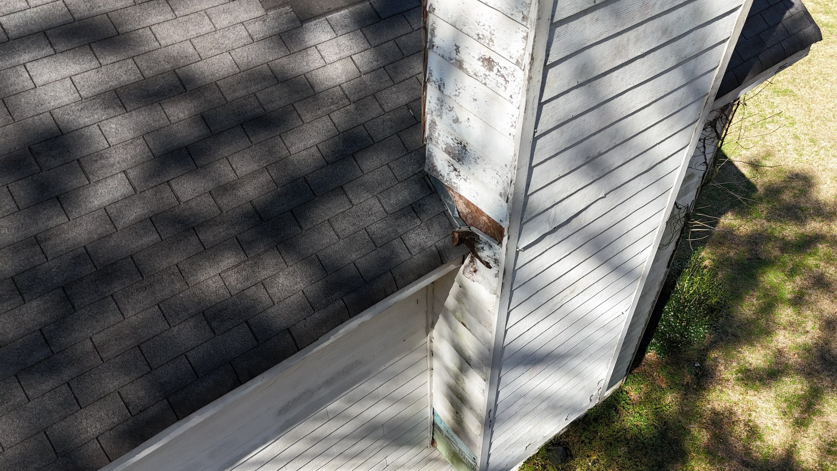 Rotten Wood by Roof Bullies