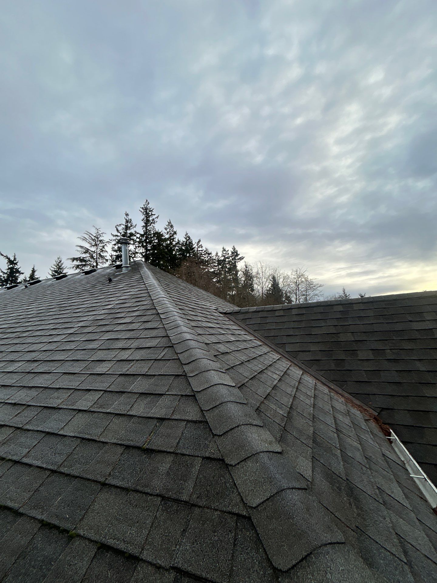 Project in Mukilteo by Peaks and Valleys Construction