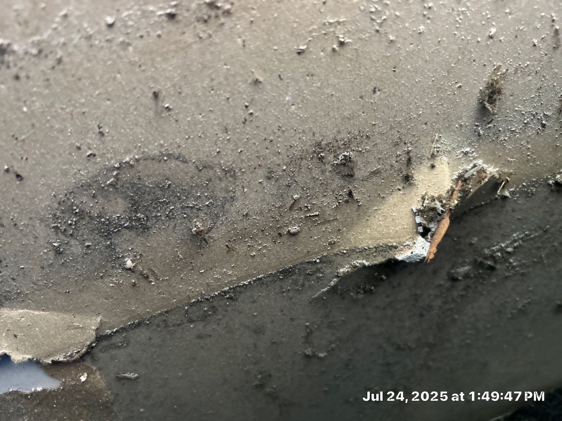 Mold Inspection & Mold Removal In St. Petersburg, FL by Ampm Restoration Services