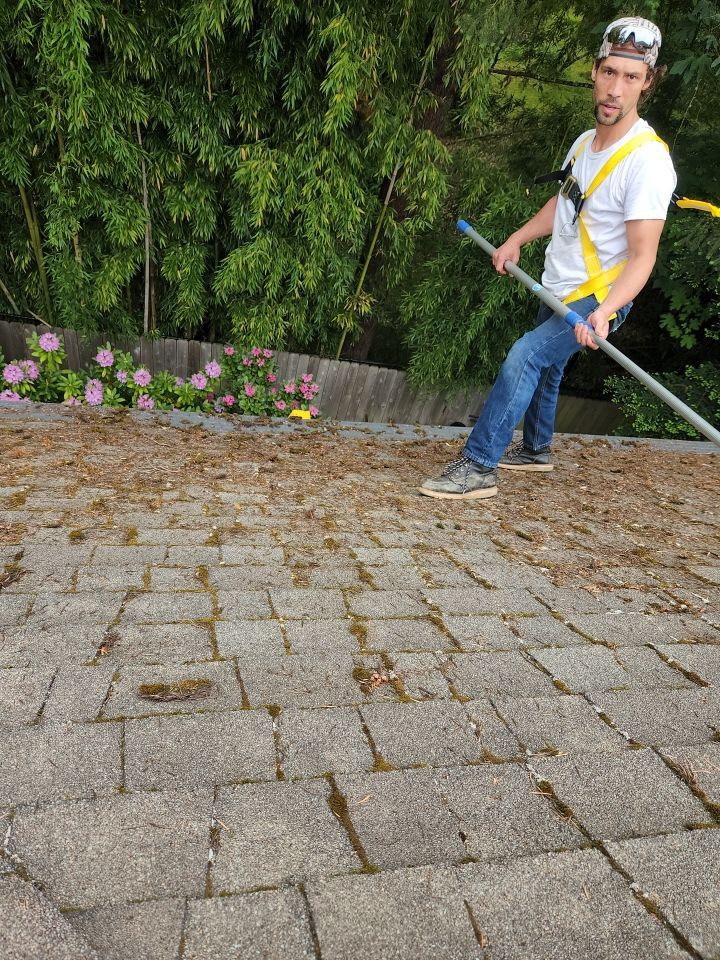Moss Treatment using Biocide by Willamette Outdoor Wash LLC