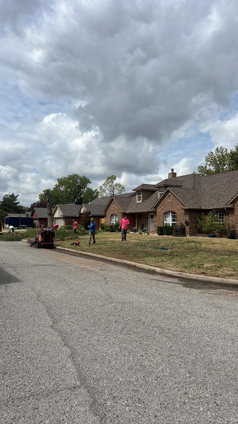 Tree removal , Concrete, Pergola, and sod install  by Clays Services Inc