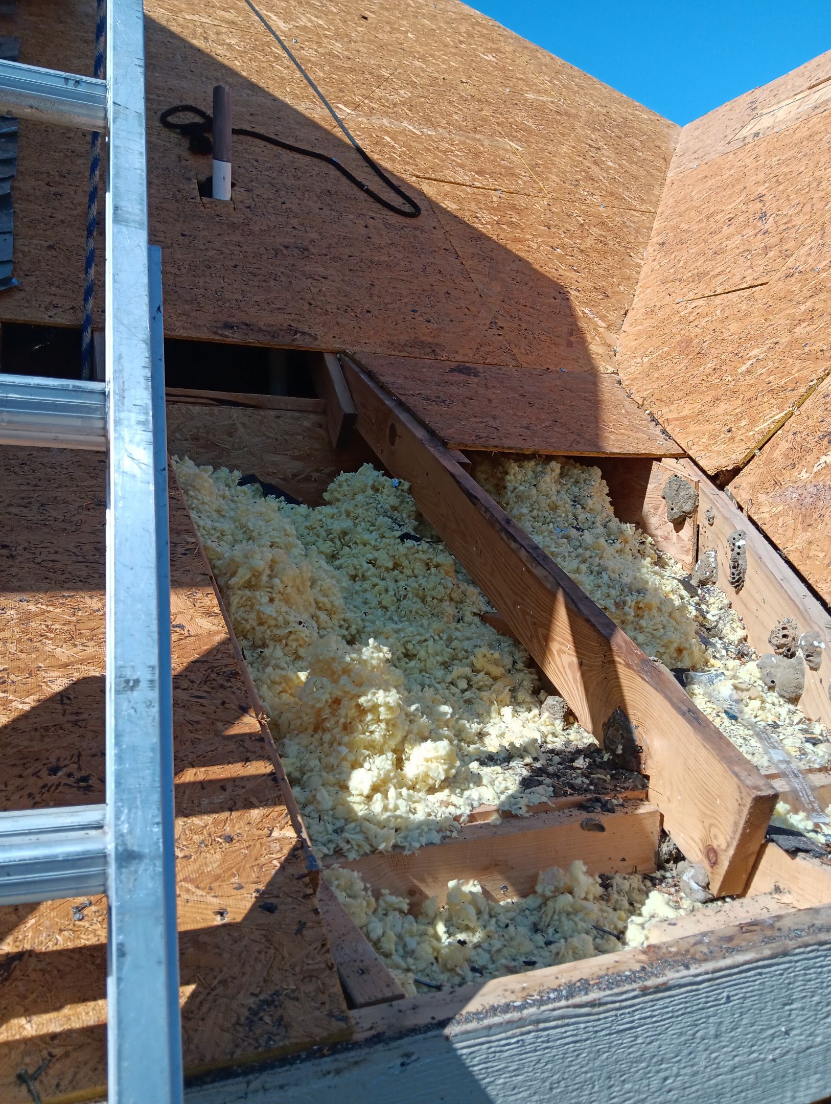 Insurance Claim Roof Paint and Gutters by AJ's Reliable Services LLC