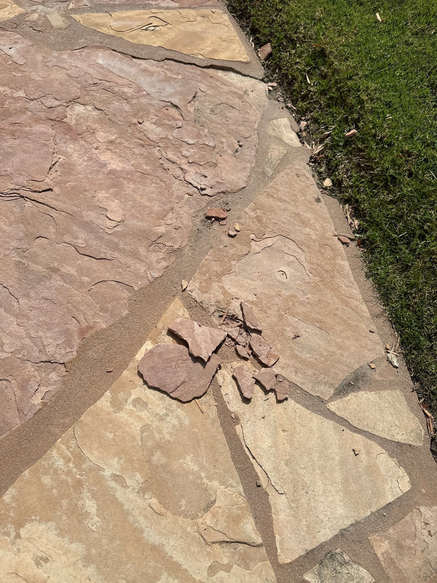 House Washing, Concrete Cleaning, and Window Washing with a Side of Gutters by Property Cleaning Experts