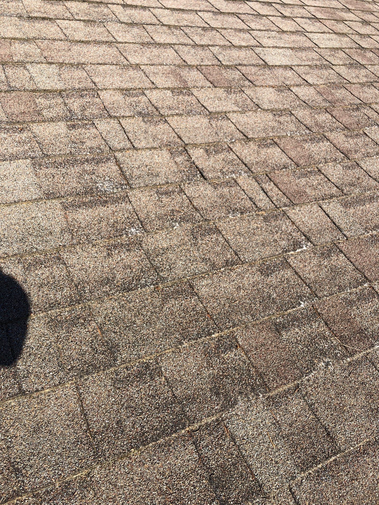 Project in Everett by Connolly Construction Company