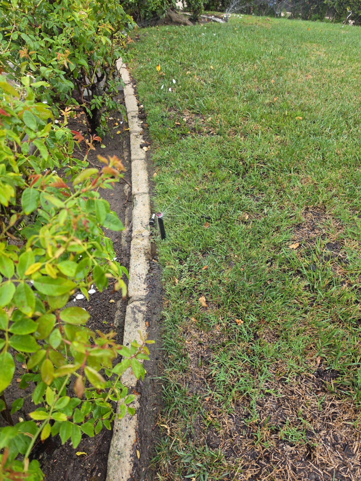 Residential Irrigation System Repair and Pipe Installation in Carlsbad by Yard Techs