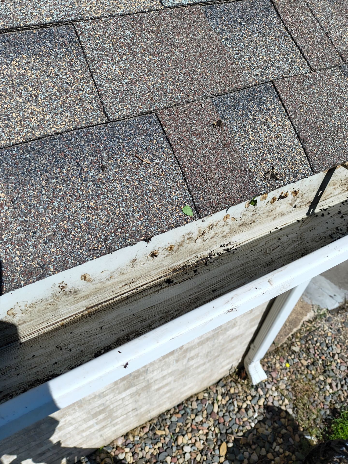 Gutter Cleaning for Apartment Buildings – Buffalo, MN by Next Level Seamless Gutters / Exteriors Inc.