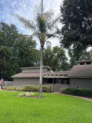 Deerwood Resident | Tree Removal