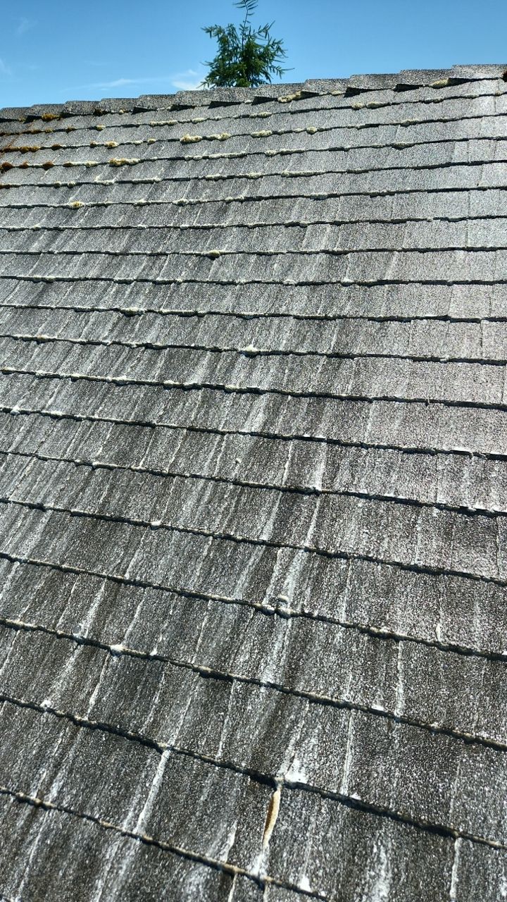 Interior and Exterior gutter clean and Roof Wash by Willamette Outdoor Wash LLC