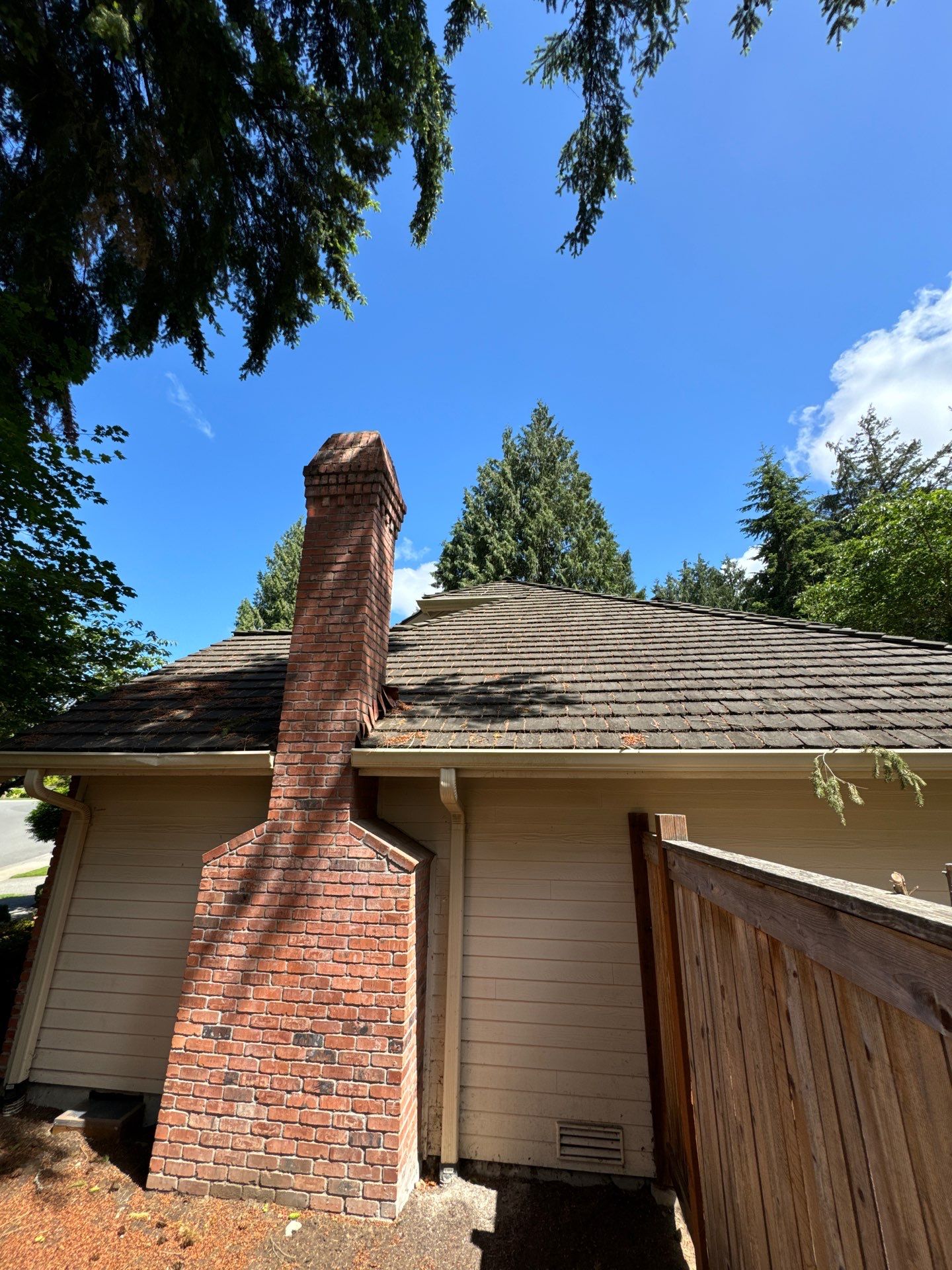 Project in Mill Creek by Peaks and Valleys Construction