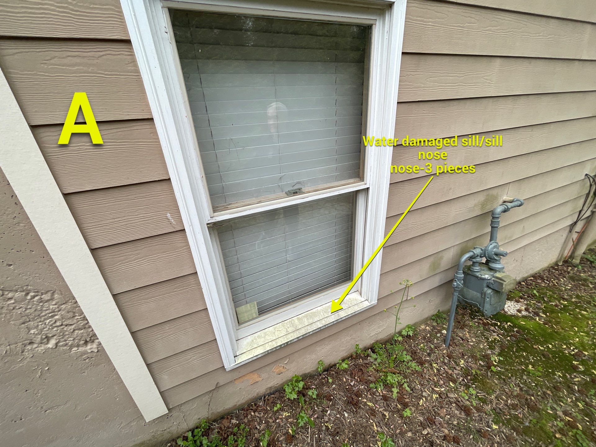 Exterior Painting using Sherwin-Williams and Rotted Wood Replacement by Nelson Exteriors