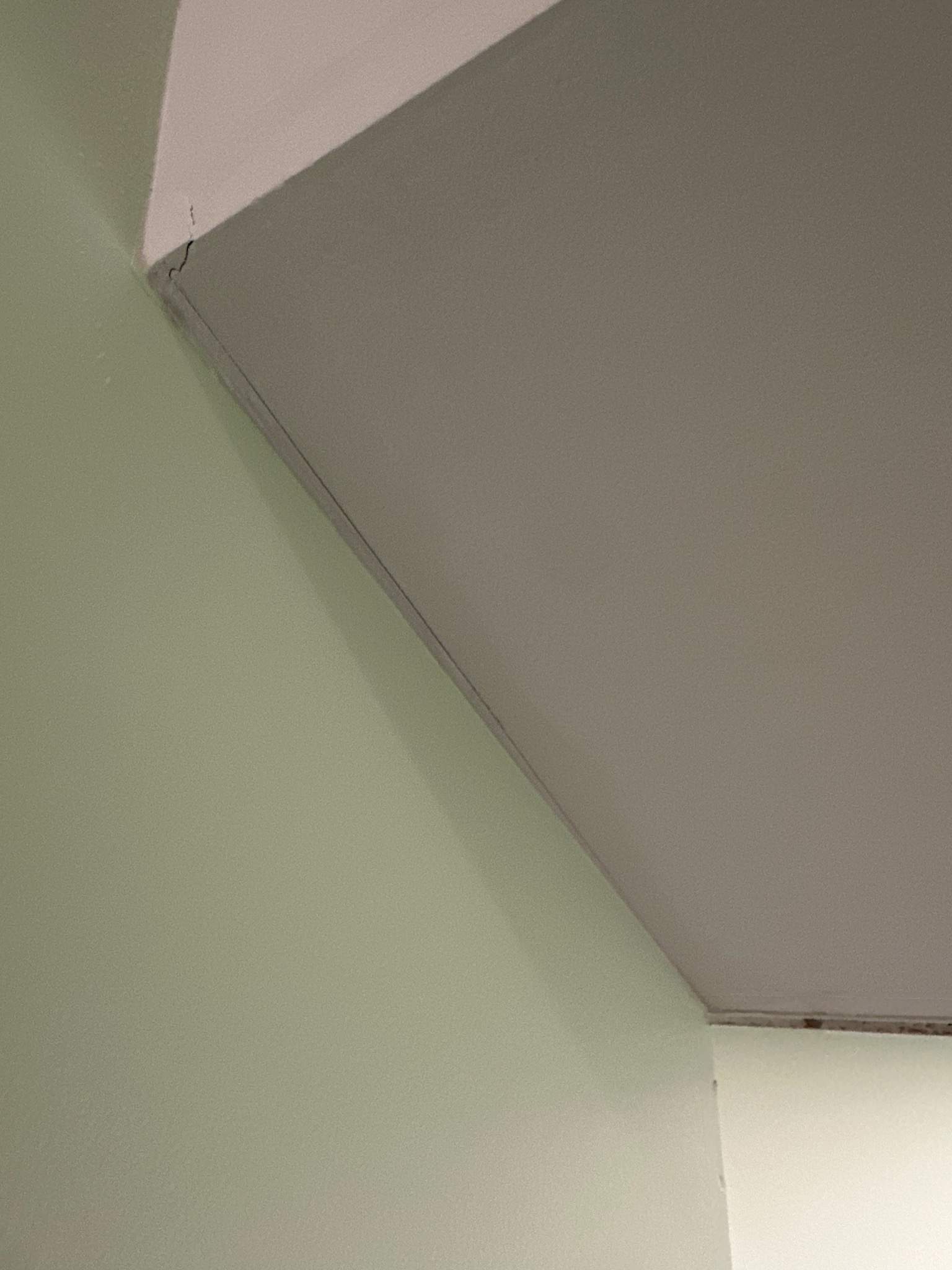 Basement and Bathroom Remodel by Ivy Lea Construction