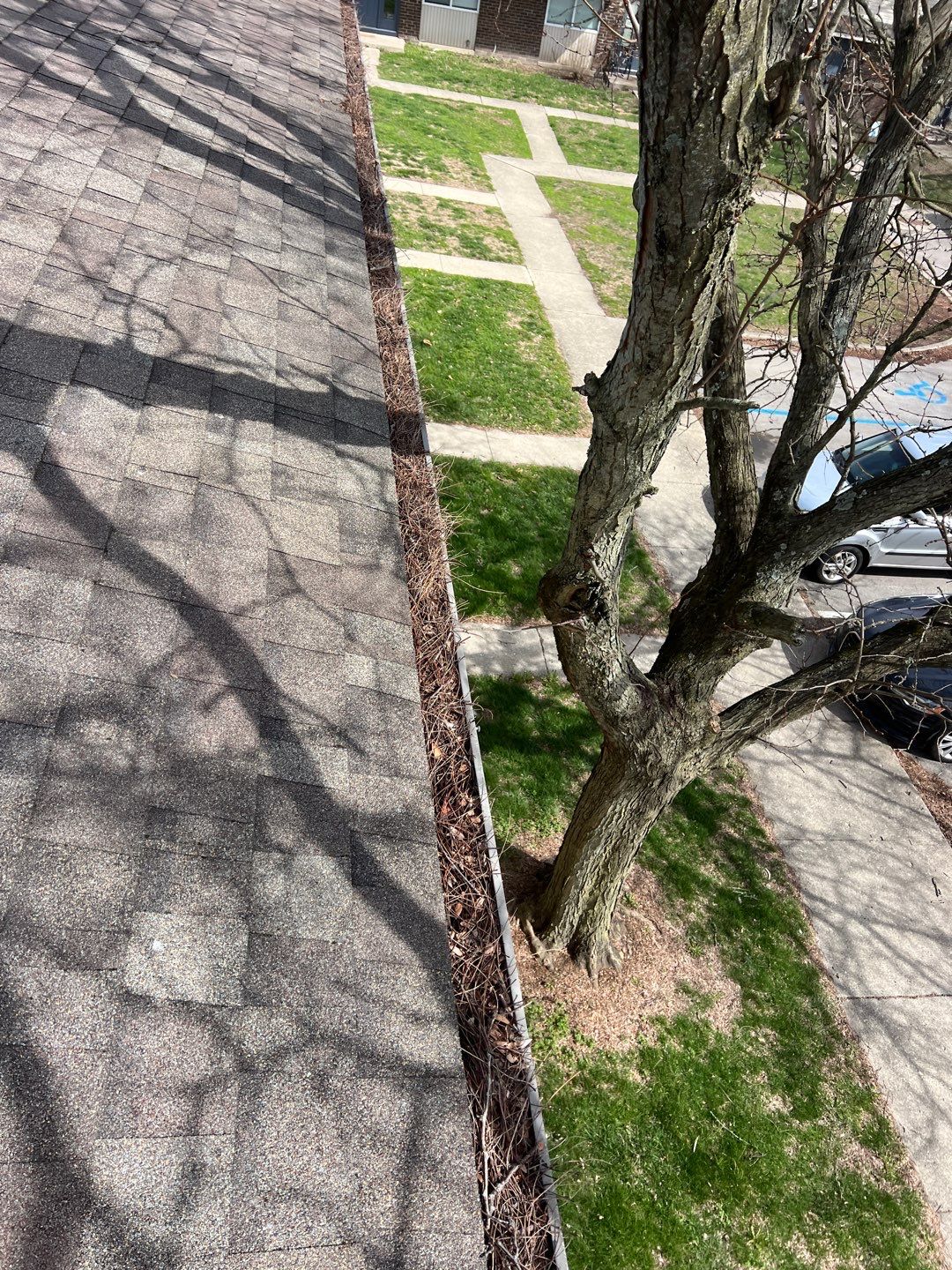 Commercial gutter cleaning Bloomington, IN before photo with filled gutters