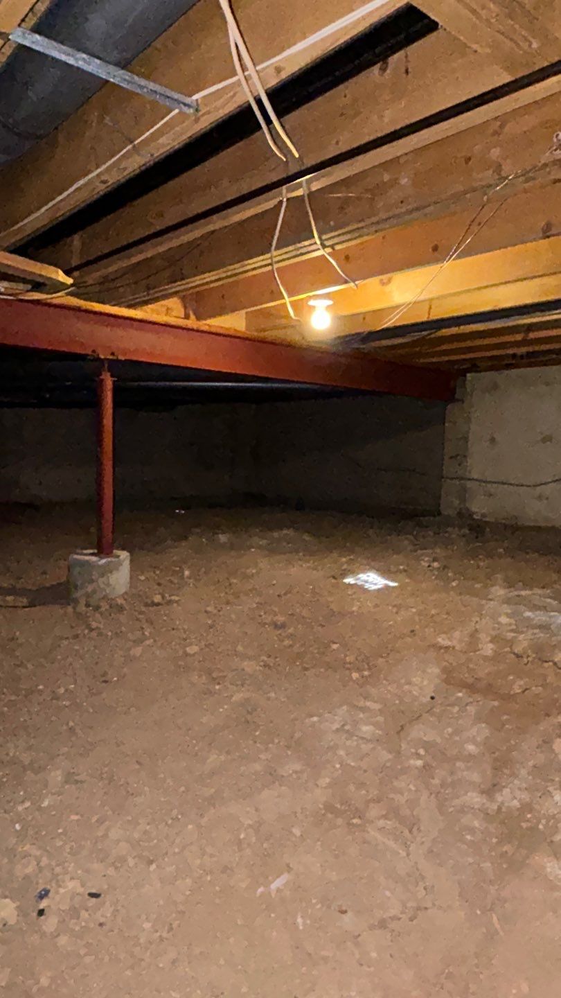 Mold Damage by Accountable Home Services