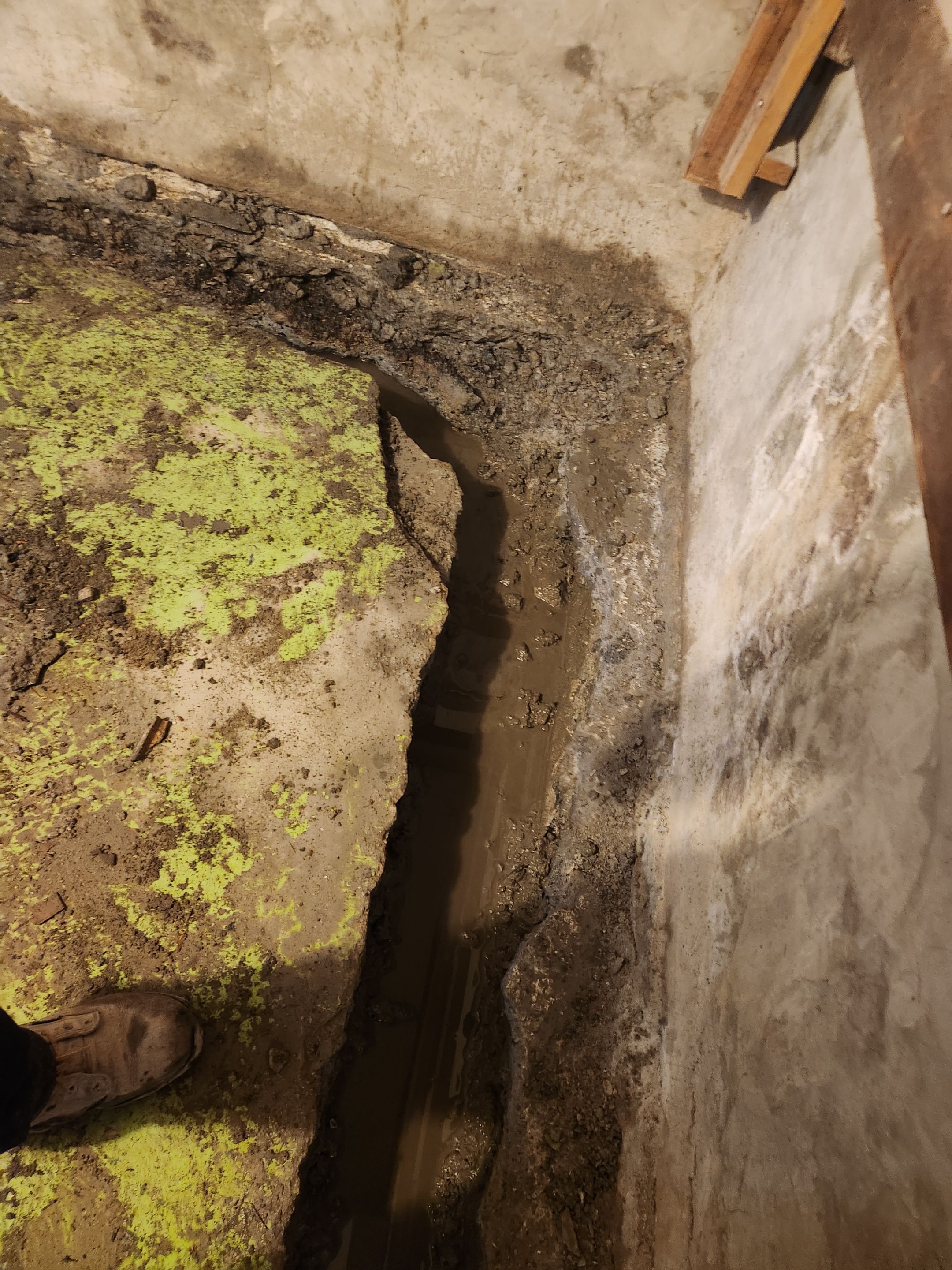 Interior French Drain & Mold Remediation Little Falls NJ by Pure Service Pro, LLC 