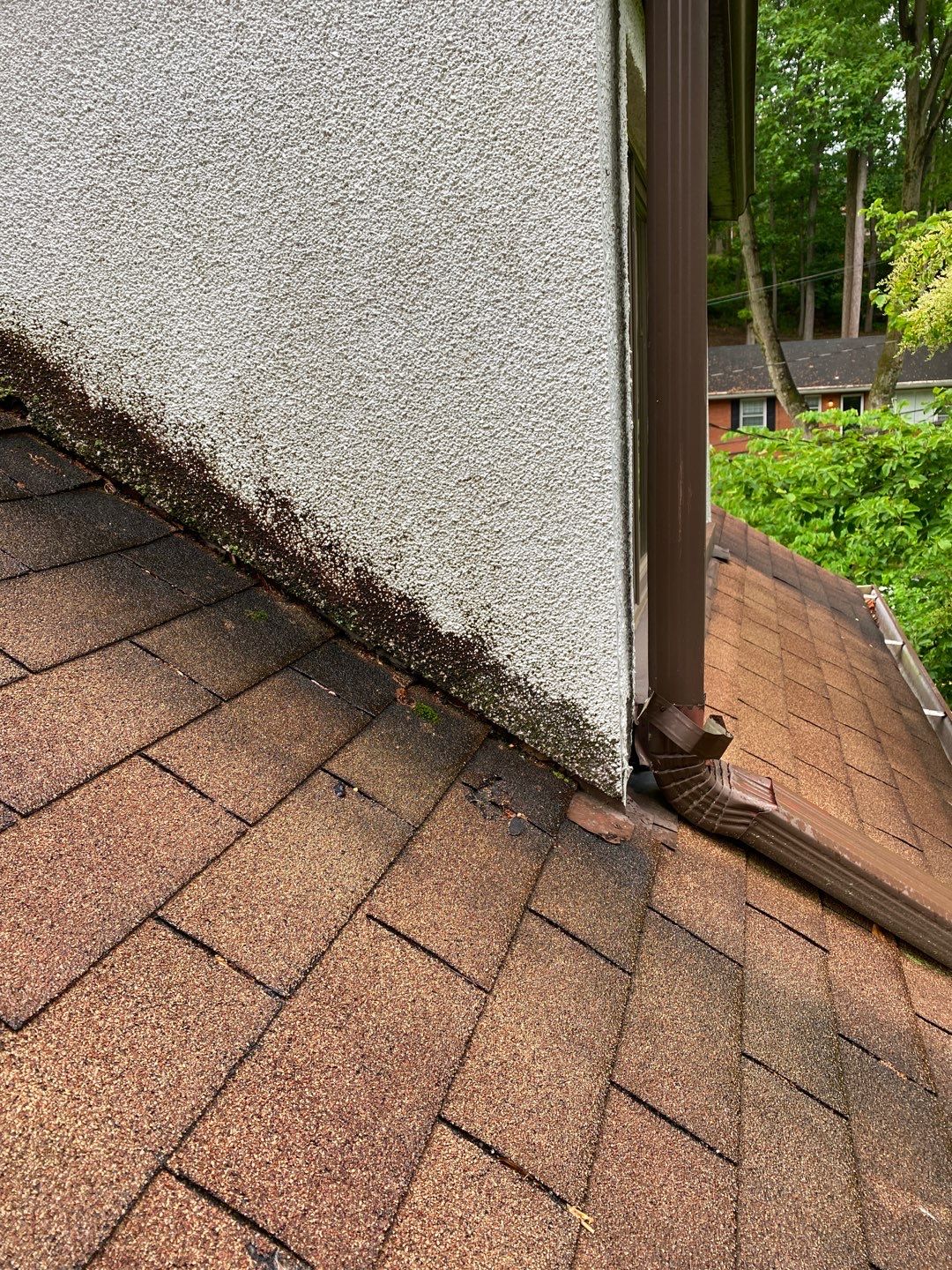 Arlington: CertainTeed Landmark Pro Designer Shingles in Max Def Shenandoah by RM Banning, Inc.