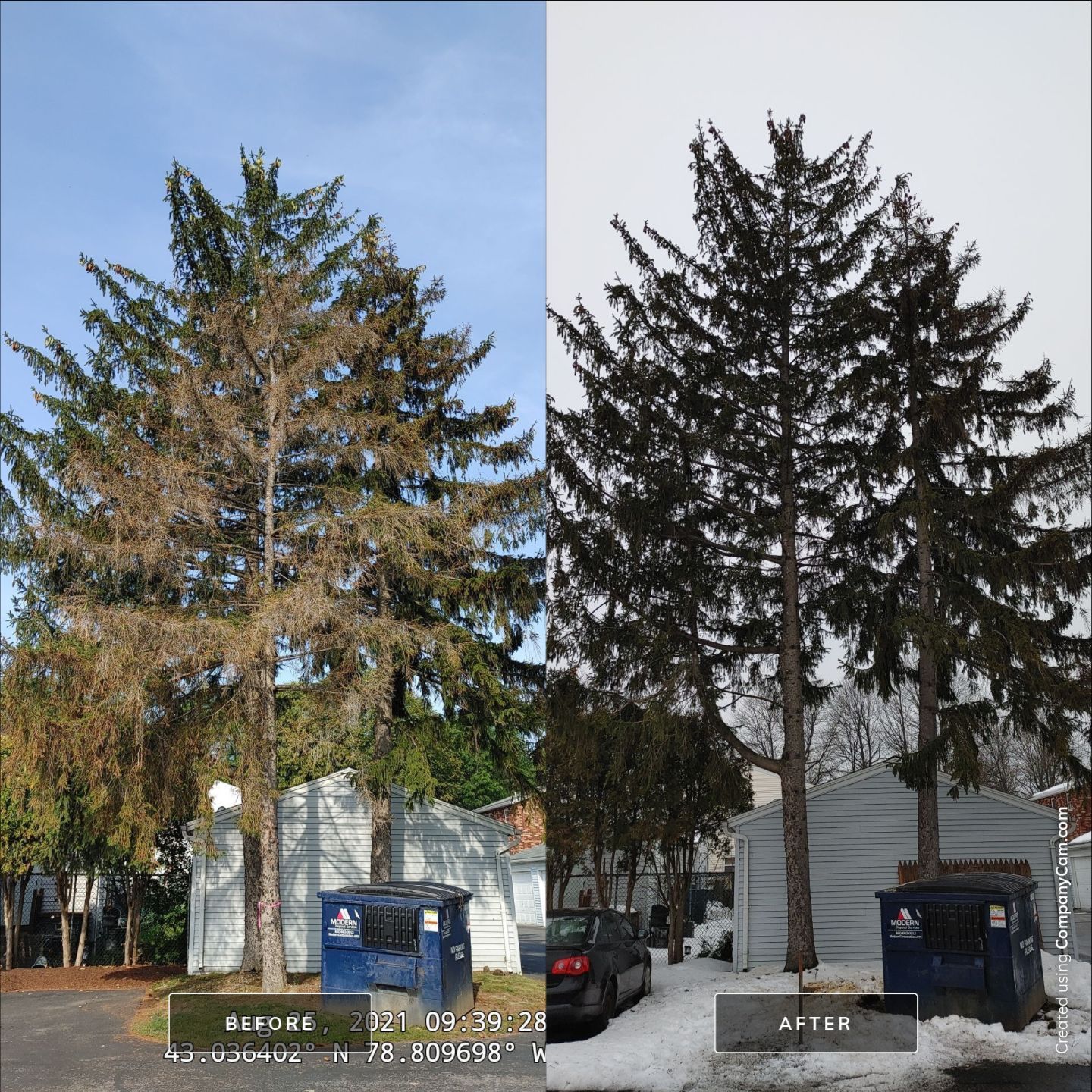 Commercial Project by Treeman Tom LLC