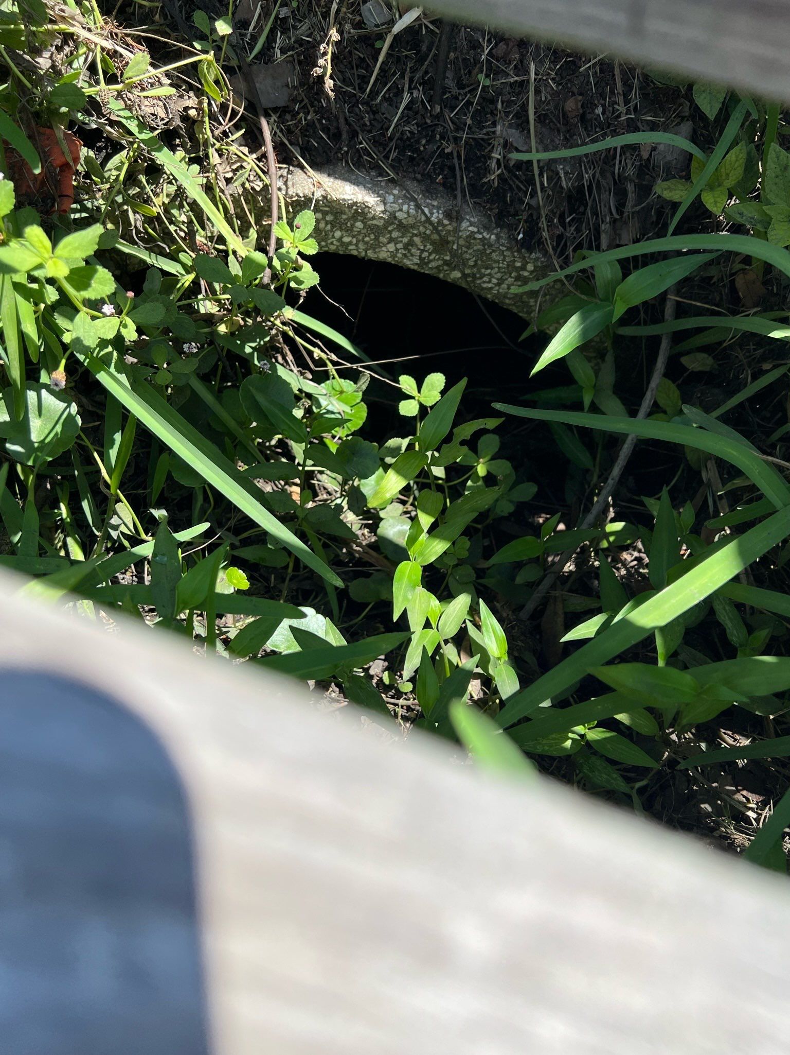Apartment Complex Storm Water System Maintenance by Don Mar, Inc. Storm Water Solutions