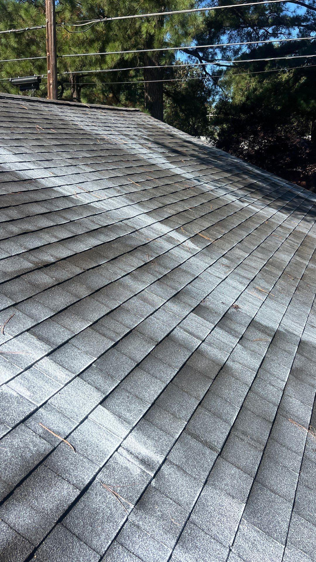 Project in Richmond by Roof Maxx of Midlothian