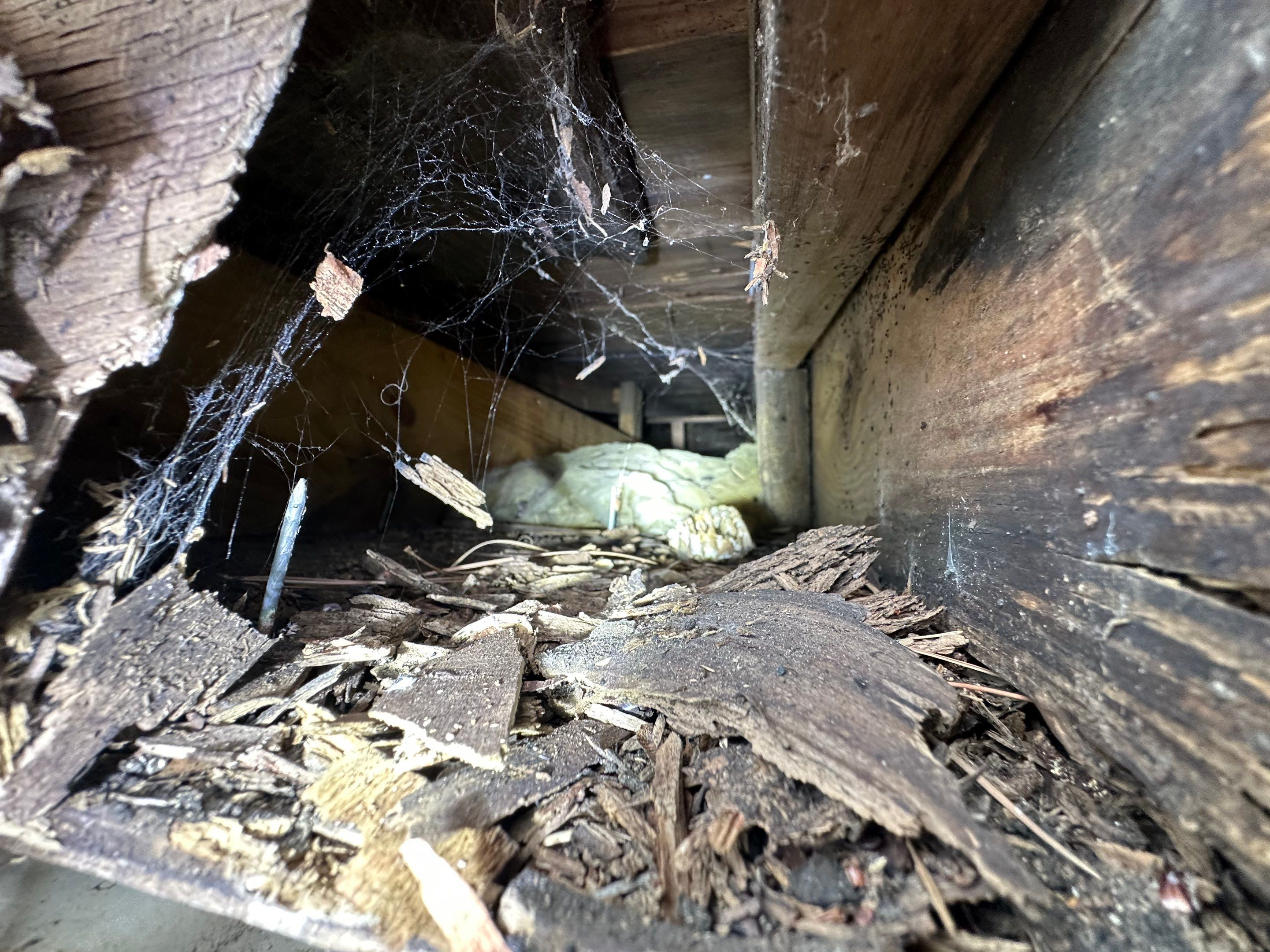 Project in Kinston, NC by Ironclad Builders LLC