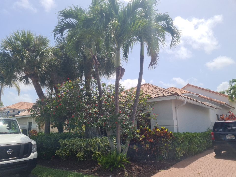 Residential Roofing Installation using Eagle Roofing Tile by BLUES BROTHERS ROOFING
