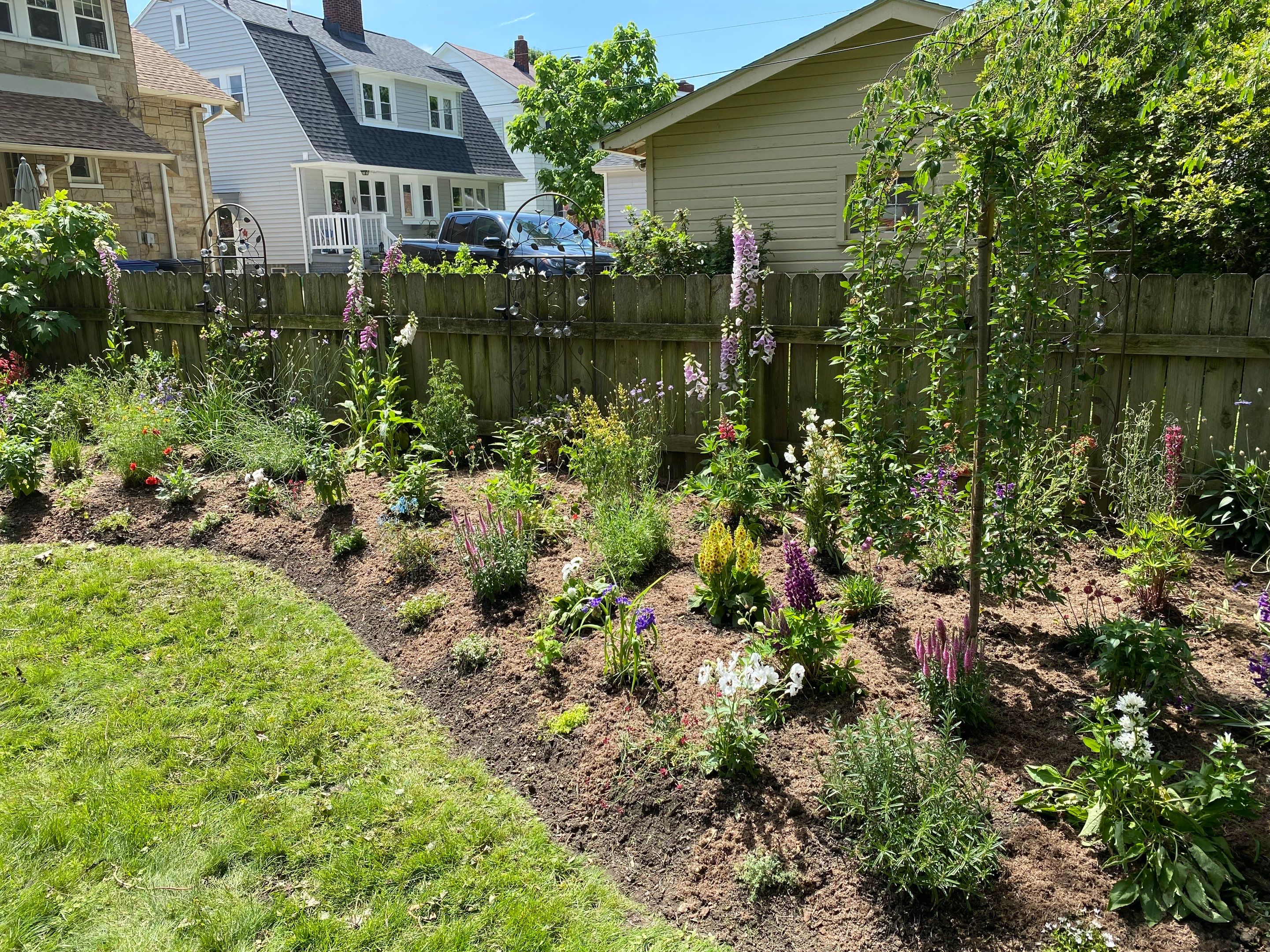 Pollinator Paradise Project by Elm Rose Gardens