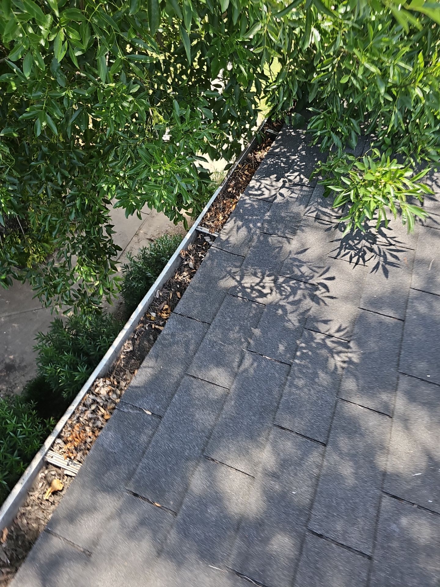 HOA gutter cleaning in League City & Webster,before  photo showing full gutters.