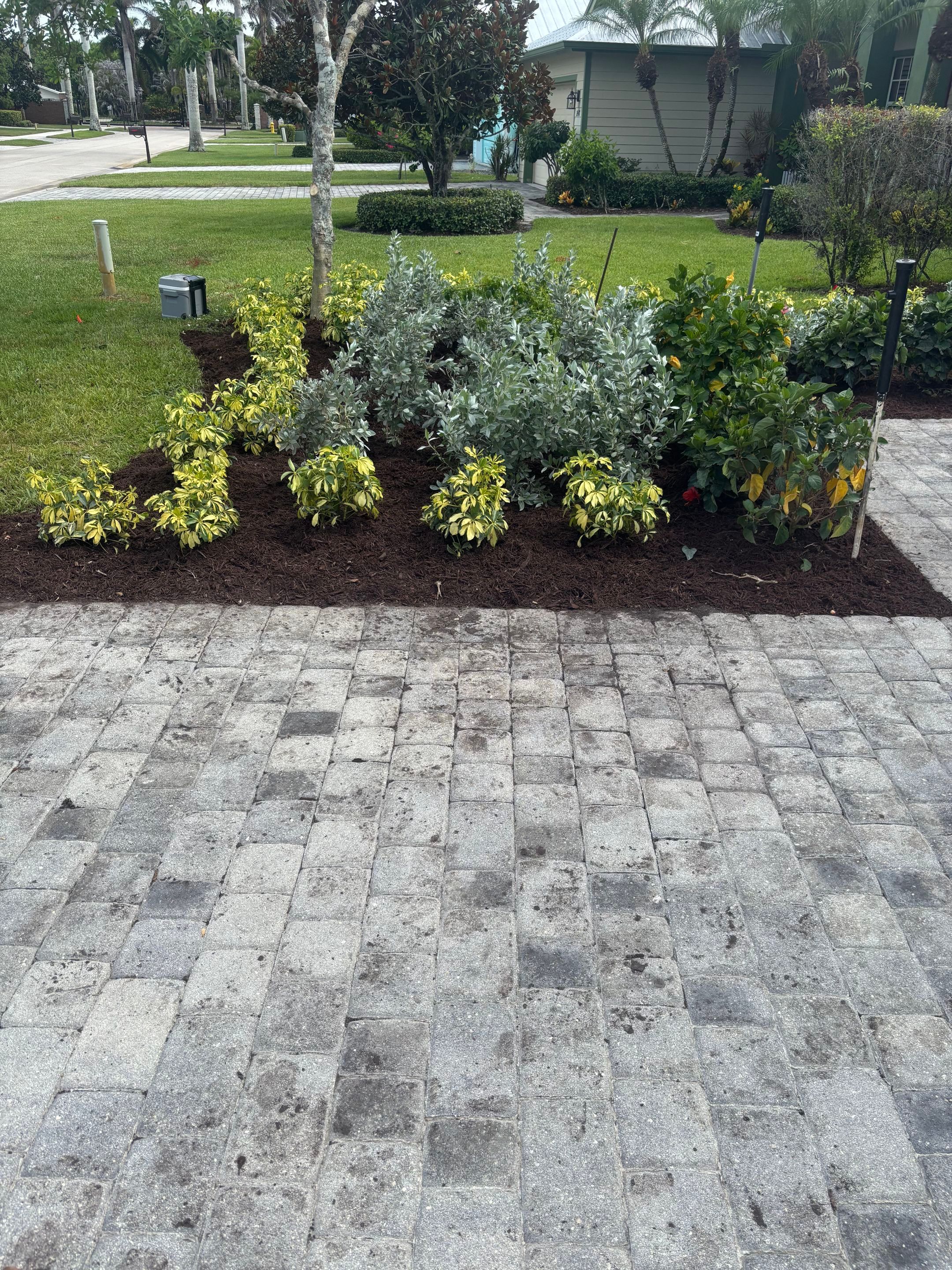 🌴✨ North River Shores Landscape Transformation ✨🌴 by Alpha Zeta Enterprises Inc