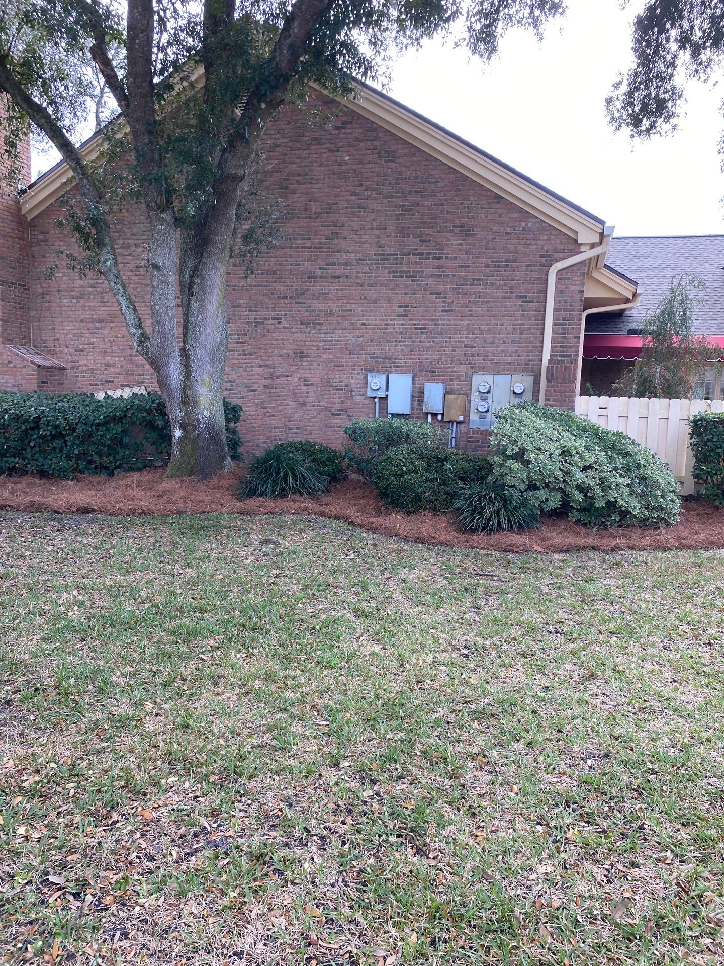 Deerwood Pointe | Tree Removal & Pine Straw Installation by ProGreen Services
