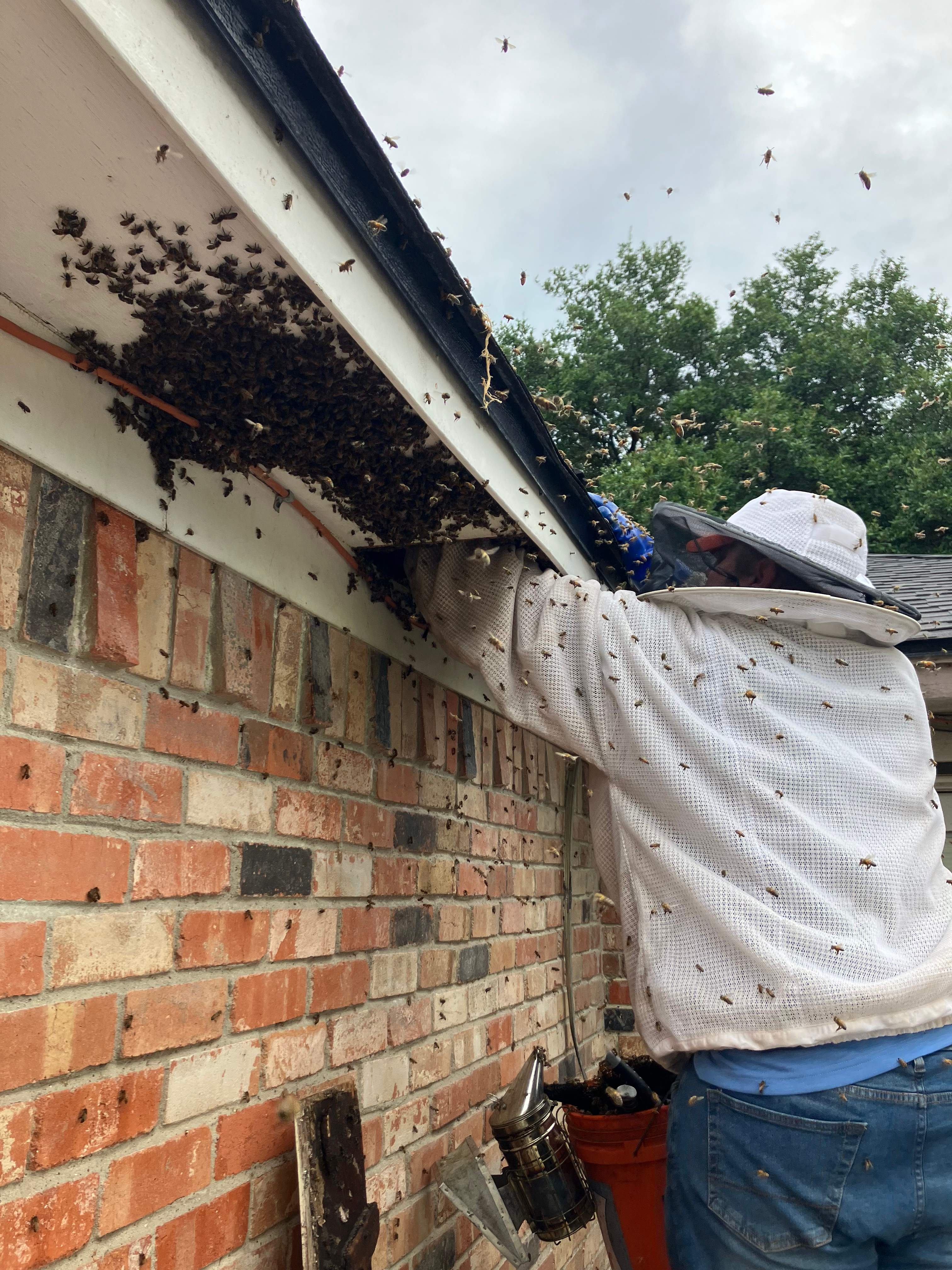 Improper Repair by Rockwall Honey Bee Company
