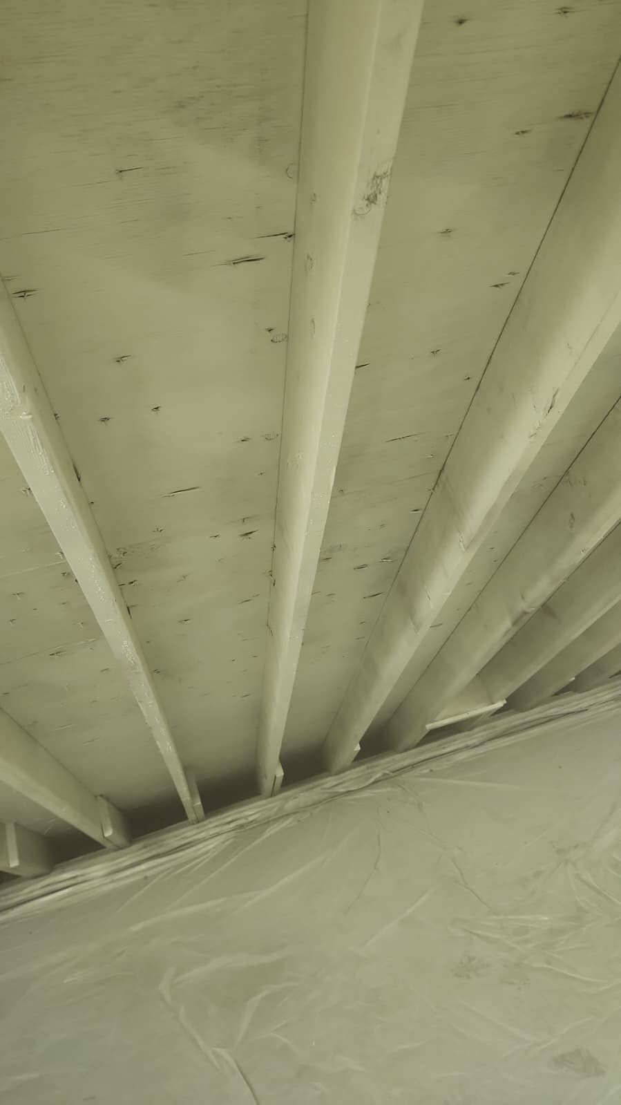 Attic Mold Remediation in Montville, NJ by Pure Service Pro, LLC