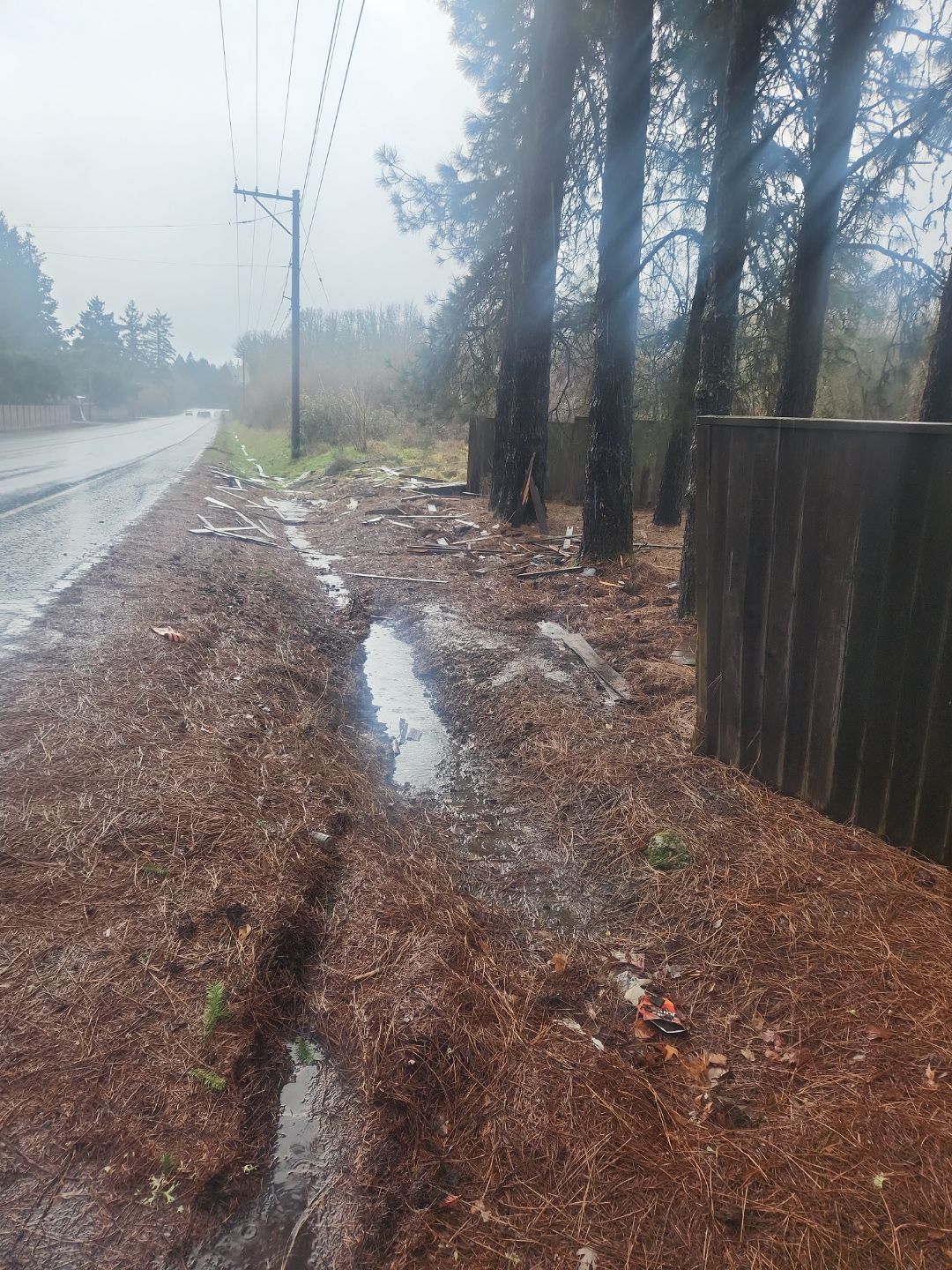 Hillsboro Fence Repair by Paul Schopp