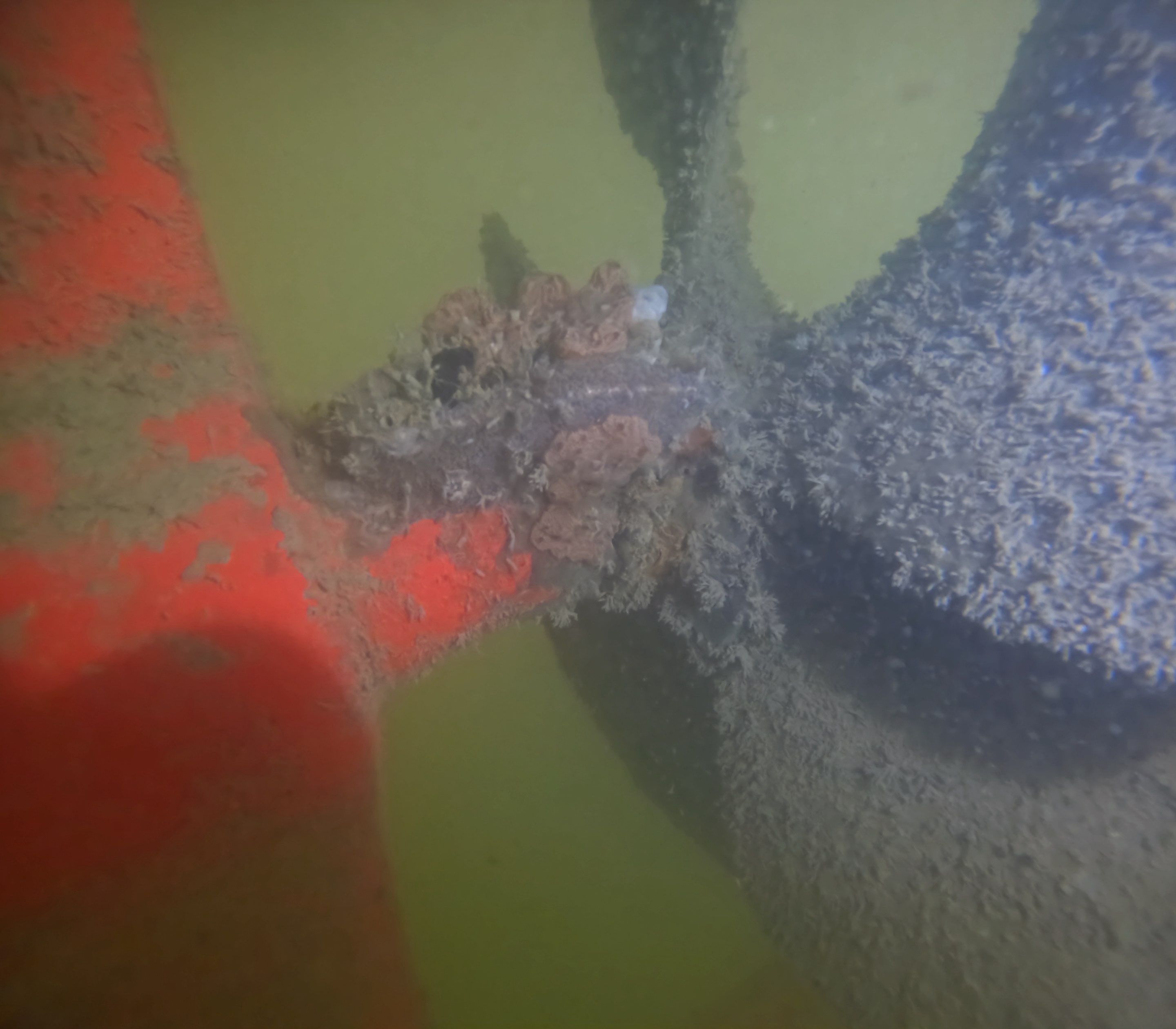 Project in North Fort Myers, FL by Florida Hull Cleaning 