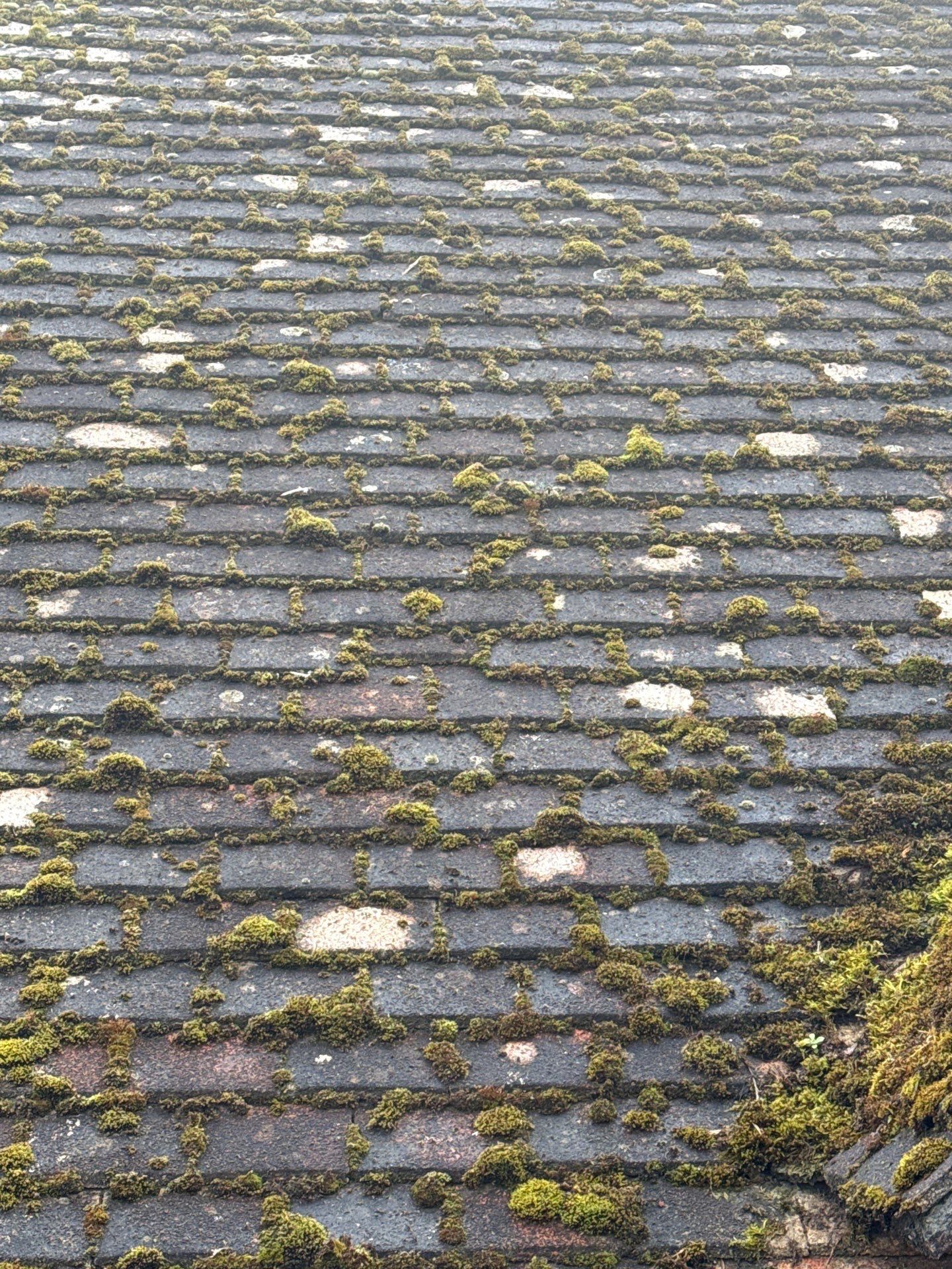 Roof Clean  - Moss Removal - Gutter Clean using Honda 15lpm Low Pressure Washing Machine by Ges Exterior Cleaning ltd
