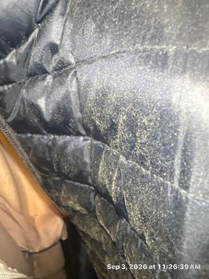 Ceiling Leak Repair — Naples, FL