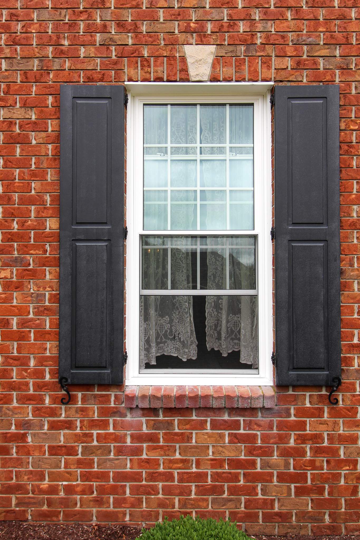 Window Replacement by Ivy Lea Construction